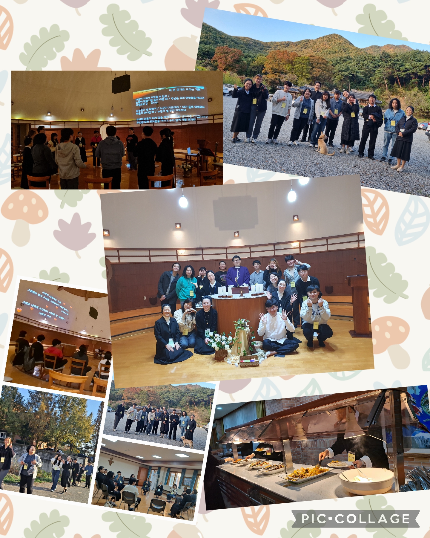 Collage_2025-11-03_08_49_47.jpg