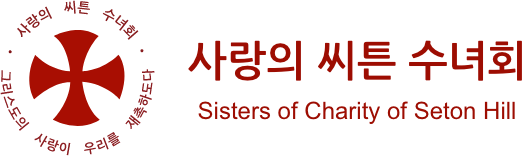 사랑의 씨튼 수녀회